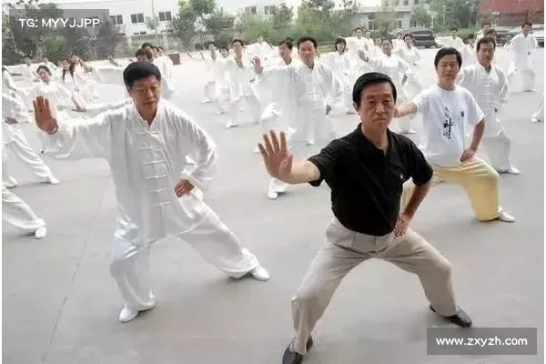 以太极拳练习380遍后气流感是否出现的观察与探讨 以太极拳练习380遍后气流感是否出现的观察与探讨