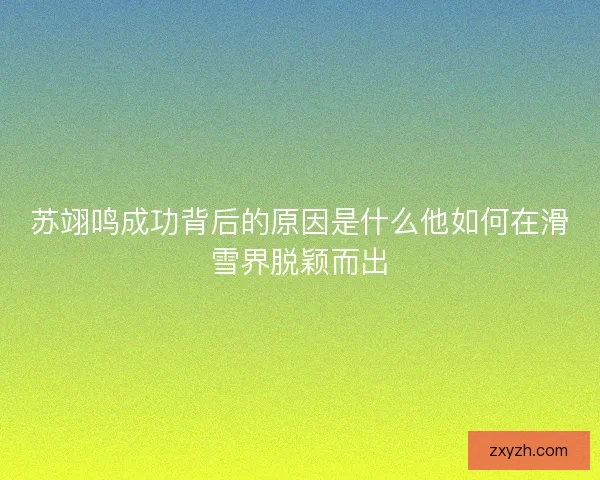 苏翊鸣成功背后的原因是什么他如何在滑雪界脱颖而出