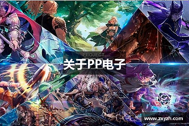 关于PP电子